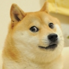 Much Doge