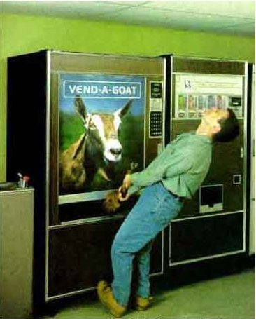 goat vend.jpg