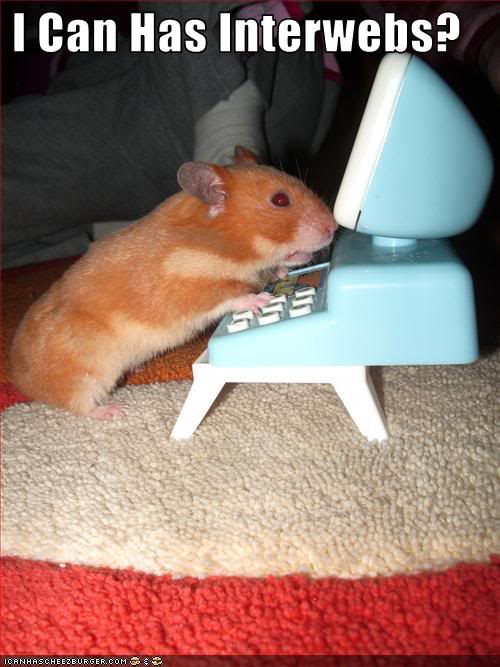 Hamsterusesmini-computer.jpg
