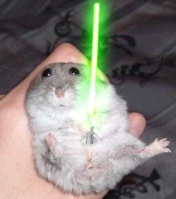 hamster-starwars.jpg