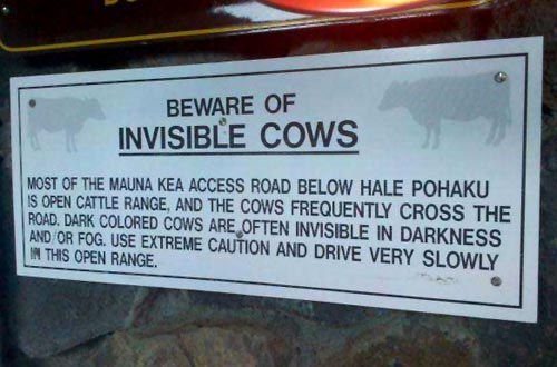 invisible-cows.jpg